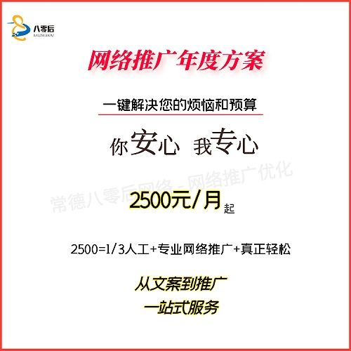 品牌网络推广公司 常德八零后网络